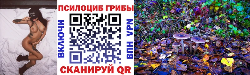 Галлюциногенные грибы Cubensis  Купить закладки  Ардатов 